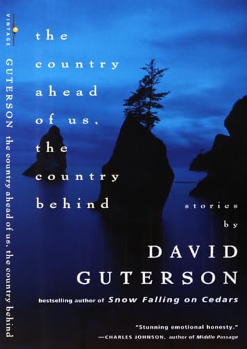 The Country Ahead of Us, The Country Behind: Stories (Vintage Contemporaries)
